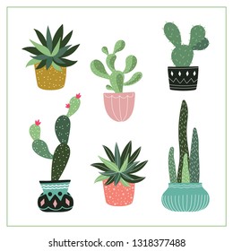 Cute colorful succulents in pots set. Vector illustration