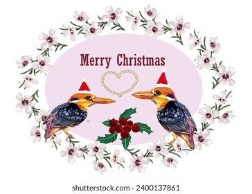 The cute colorful thrush conveys love among the elegant Geraldton Wax flowers, wishing you a merry Christmas and good luck.