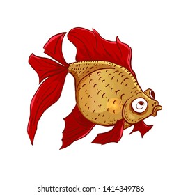 Cute colorful vector hand drawn  illustration of goldfish over white background. Our favorite home aquarium pets