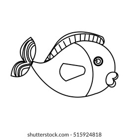 cute colors fish pet