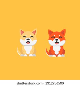 Cute colourful happy shiba inu dog smiling isolated