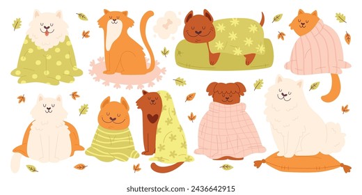 Cute comic cat and dog cartoon characters wrapped in cozy warm blankets, sitting on soft pillow or rug set isolated on white background. Autumn or winter domestic pets animal vector illustration