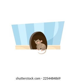Cute comic mouse near hole in wall vector illustration. Cartoon drawing of adorable grey rodent character sitting isolated on white background. Nature, pets, domestic animals concept