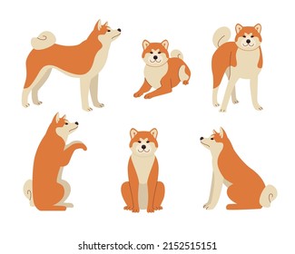 Cute comic shiba inu in different poses vector illustrations set. Dog cartoon character standing, sitting, symbol of 2018 isolated on white background. Pets or domestic animals, New Year concept