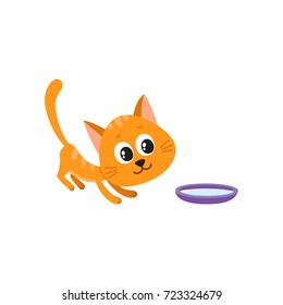 Cute comic style red cat and bowl of milk, cartoon vector illustration isolated on white background. Cute and funny cartoon cat, kitten going to drink milk from bowl