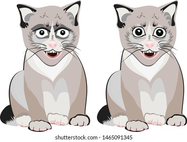 Cute, comical kitten sits. Funny pet in cartoon style. Vector illustration.