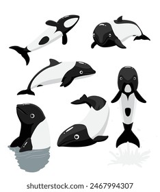 Cute Commerson's Dolphin Poses Set Cartoon Vector