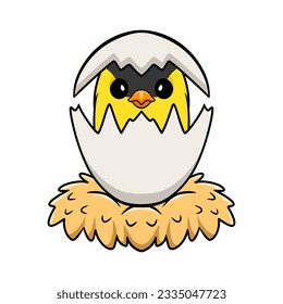 Cute common backyard bird cartoon inside from egg