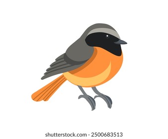 Cute common redstart bird in resting position. Cartoon animal design, stylized bird with grey and orange feathers. Vector illustration isolated on white background.