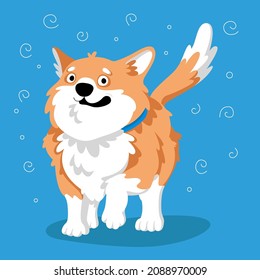 Corgi confundido. Concepto de vector. Hermosa ilustración de dibujos animados con un perro. Ilustración vectorial aislada. Ilustración cómica. Diseño de caracteres. Gráfico infantil.