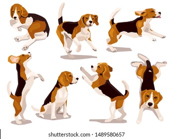 Cute cool beagle puppy set. Collection of flat plaing dog in various poses and actions. Vector illustration of domestic pet behavior