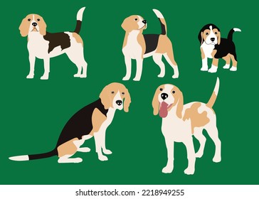 Cute cool beagle set. Collection of flat dog in various poses and actions. Vector illustration of domestic pet behavior