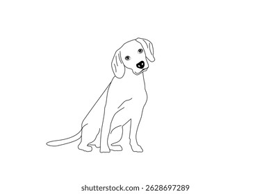 Cute cool beagle set. Collection of flat dog in various poses and actions. Vector illustration of domestic pet behavior