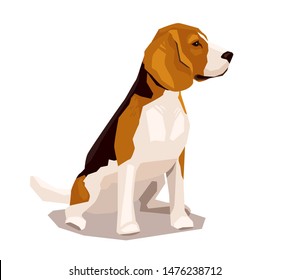 Cute cool sitting beagle puppy. Flat dog vector illustration. Domestic pet behavior