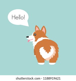 Cute Corgi Butt Hello vector illustration.