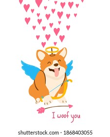 Cute corgi in cupids costume with halo and arrow and wings for Valentine Day. I woof you quote with funny happy dog.