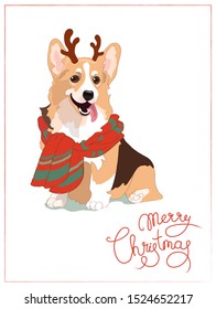 Cute corgi with deer's horns hand drawn flat color illustration.Merry Christmas red lettering. Funny pet animal in sweater isolated cartoon character.Xmas sketch drawing. Winter holiday greeting cards