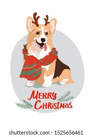 Cute corgi with deer's horns hand drawn flat color illustration.Merry Christmas red lettering. Funny pet animal in sweater isolated cartoon character.Xmas sketch drawing. Winter holiday greeting cards