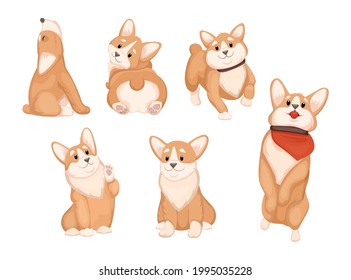 Cute corgi in different poses vector illustration set. Friendly puppy playing, earning, walking, sitting and relaxing. Comic dog, domestic animal, pet concept