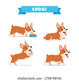 lindo animal de perro corgi mascota con muchos conjuntos de pose