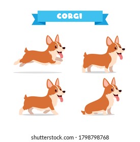 lindo animal de perro corgi mascota con muchos conjuntos de pose