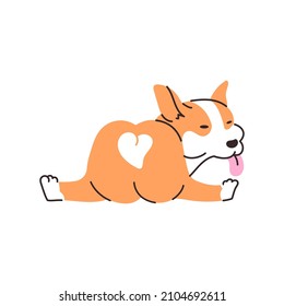 Cute corgi dog cartoon illustration. A funny puppy with a tongue sticking out. Vector