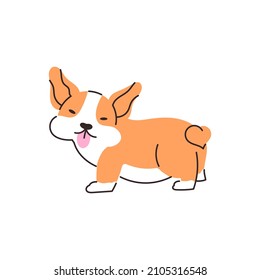 Cute corgi dog cartoon illustration. A funny puppy with a tongue sticking out. Vector