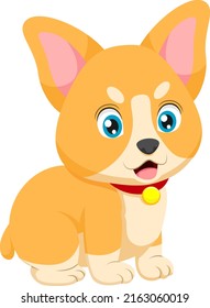 Cute corgi dog cartoon on white background