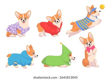 Cute corgi dog in clothes. Funny puppy with different seasons wear, cartoon happy pet character, cartoon mascot, adorable domestic animal playing, stickers collection, classy vector set
