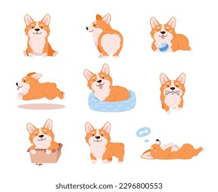 Cute corgi dog in different poses, cartoon flat vector illustration isolated on white background. Set of welsh corgi pembroke sleeping, playing with ball, sitting in box and running.