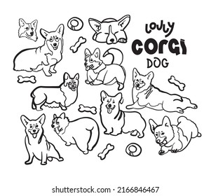 Cute corgi dog doodle. Collection in different poses in free hand drawing illustration style.