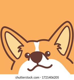 Cute corgi dog face, vector illustration