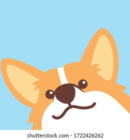 Cute corgi dog face, vector illustration