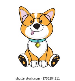 Cute Corgi dog in glasses on a white isolated background. A pet