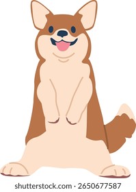 Cute corgi dog happy muzzle