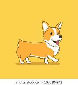 Cute corgi dog illustration