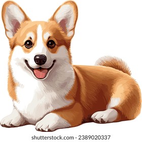 Cute corgi dog einzeln auf Vektorgrafik