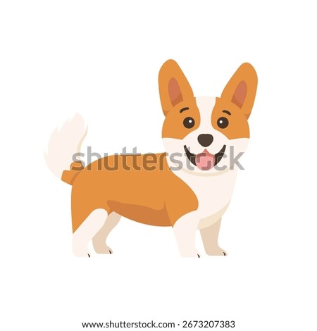 Cute Corgi dog isolated on white background. Vector stock