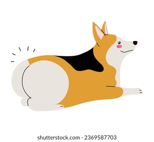 Cute corgi dog lying down, showing fluffy heart shaped butt. Isolated vector illustration in flat style