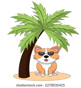 Cute Corgi dog on the beach under a palm tree in color