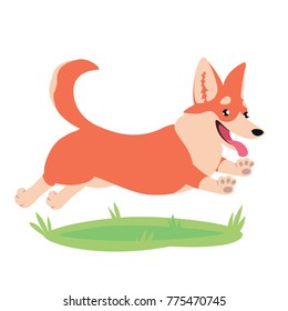 Cute corgi dog on grass. Colorful vector illustration of Welsh Corgi Pembroke in flat cartoon style on white background. Element for your design, avatar, print. Funny pet running, jumping and smiling.