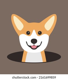 cute Corgi dog on the hole, watching, vector illustration
