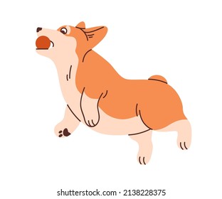 Cute Corgi dog playing. Funny active doggy jumping and catching ball. Happy agile puppy having fun. Playful pet with toy in mouth. Flat graphic vector illustration isolated on white background