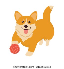 Cute Corgi dog playing. Funny active doggy jumping and catching ball.   Flat   vector illustration   