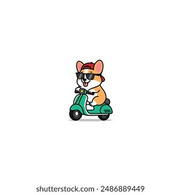 Cute corgi dog riding a scooter cartoon, vector illustration