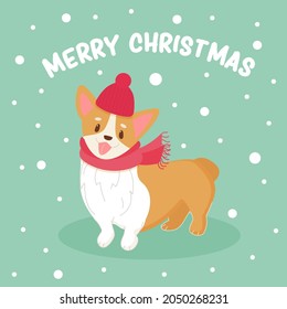 Cute corgi dog with Santa hat and scarf Vector illustration. Winter greeting card with funny animal. New year festive poster.