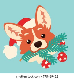 Cute corgi dog in Santa hat with Christmas tree branch in mouth. Colorful vector illustration of Welsh Corgi Pembroke head in flat cartoon style on blue background. Christmas card. Happy New Year!