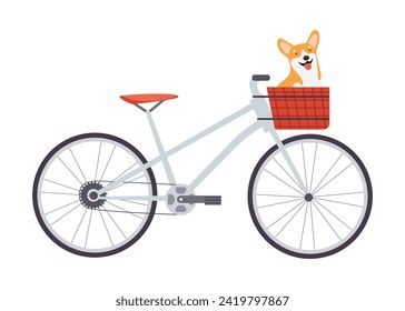 Cute Corgi dog is sitting in a bicycle basket, animal friendly sign. Hand drawn vector illustration in flat design, isolated on white background