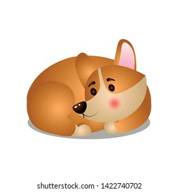 Cute corgi dog sleeping in room corner in circle