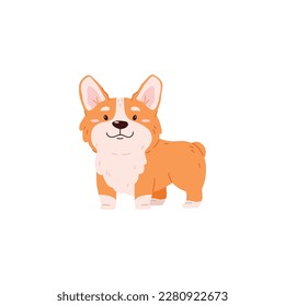 Cute corgi dog standing, cartoon flat vector illustration isolated on white background. Funny puppy of welsh corgi pembroke. Adorable animal drawing.